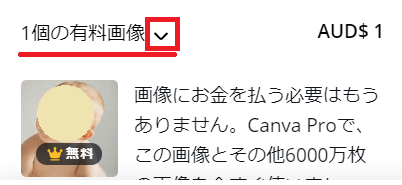 Canva有料アイテムの確認例